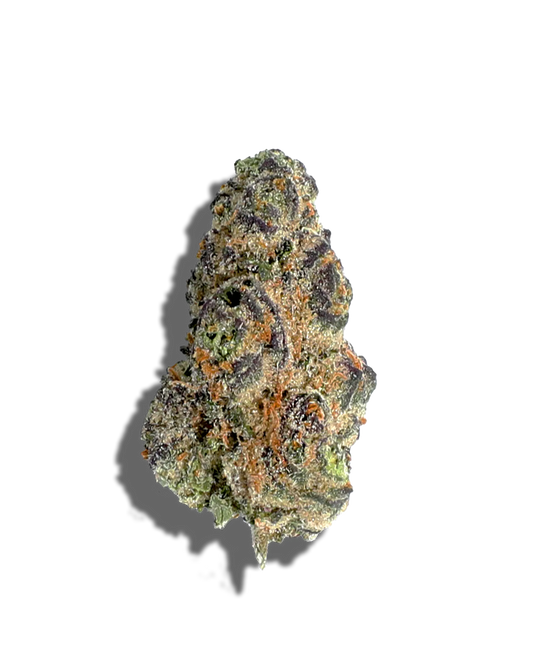 Close-up of a cannabis bud on a white background