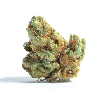 Banana Mints (Indica)