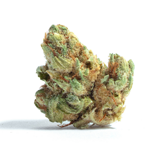 Close-up of a cannabis bud on a white background