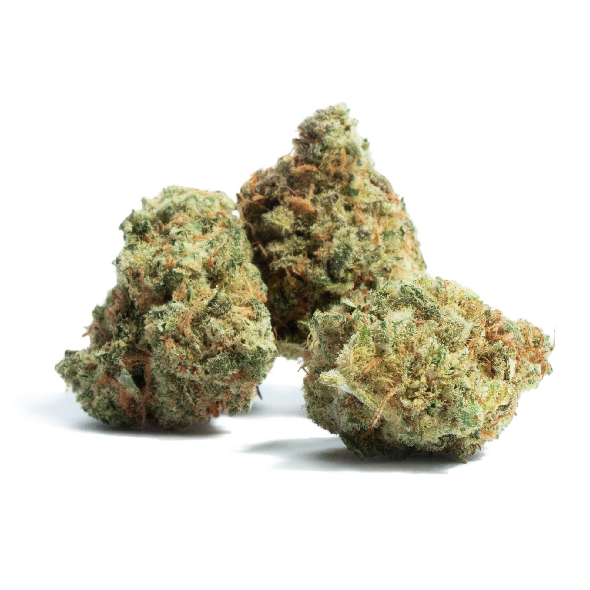 Close-up of cannabis buds on a white background