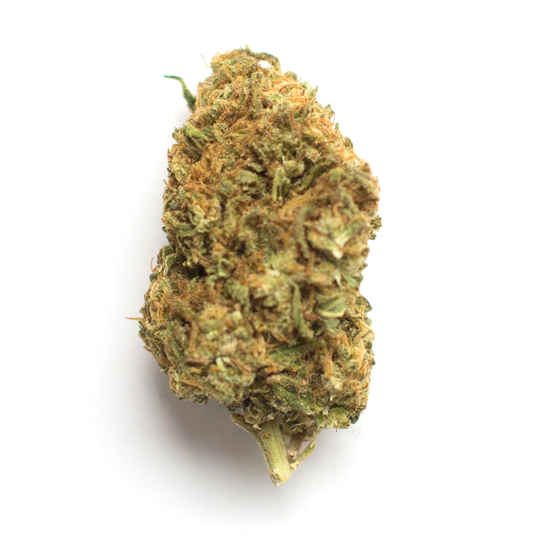 Dried cannabis bud on a white background